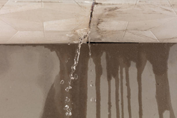 Professional Sewage Cleanup technician working in Nineveh, IN